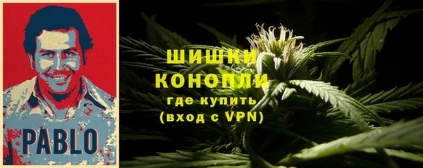 эйфоретик Карпинск