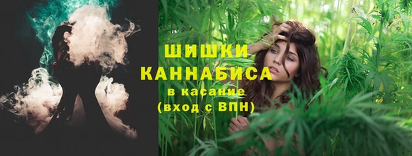 эйфоретик Карпинск