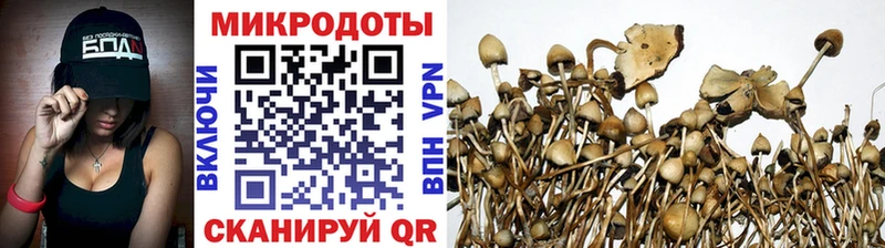 Купить где  Котельнич  Псилоцибиновые грибы GOLDEN TEACHER 